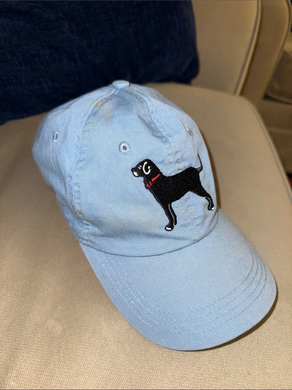 The Black Dog light blue